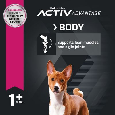 Image showing  Adult Medium Breed Small Bites Chicken Dry Dog Food