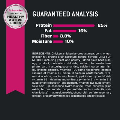 Image showing  Adult Medium Breed Small Bites Chicken Dry Dog Food