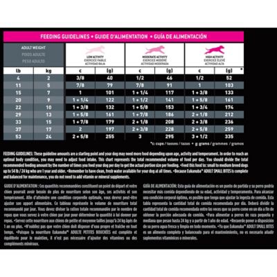 Image showing 5 th Eukanuba Adult Medium Breed Small Bites Chicken Dry Dog Food
