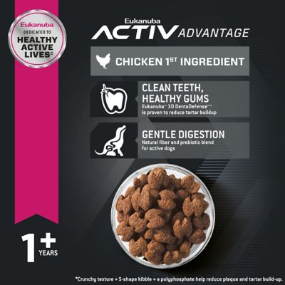 Image showing  Adult Small Breed Chicken Dry Dog Food