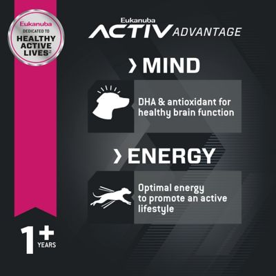 Image showing  Adult Small Breed Chicken Dry Dog Food