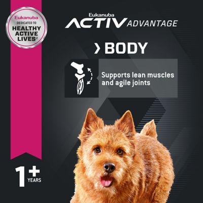 Image showing  Adult Small Breed Chicken Dry Dog Food