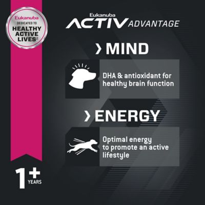 Image showing  Adult Medium Breed Small Bites Chicken Dry Dog Food