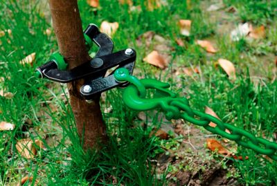 Image showing  Mini Brush and Tree Remover, 2 in. Diameter Small Trees and Brush