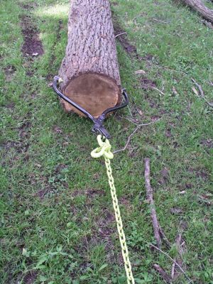 Image showing  22 in. Spring Loaded Swivel Grab Log Skidding Tongs