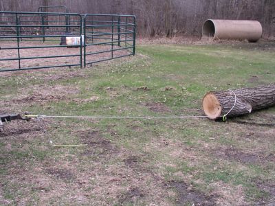 Image showing  15 ft. H.D. Log Choker Cable with Rings and Probe Stake