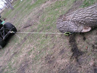 Image showing  15 ft. H.D. Log Choker Cable with Rings and Probe Stake