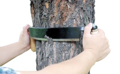 Image showing  10 in. Curved Draw Log Shave