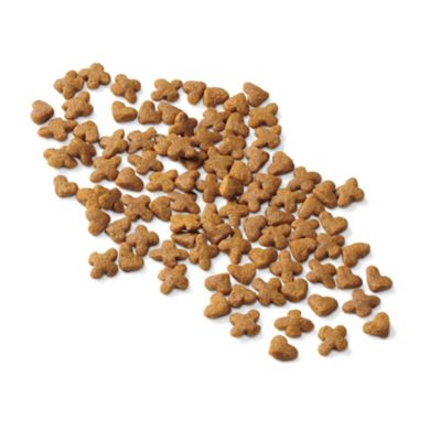 Image showing  Healthy Development Indoor/Outdoor Chicken Recipe Dry Cat Food