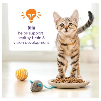 Image showing  Indoor/Outdoor Nurture Muscle and Brain Development Farm-Raised Chicken Recipe Dry Cat Food