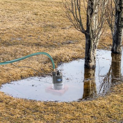 Image showing 8 th Superior Pump 1/4 HP 120V Electric Submersible Thermoplastic Utility Pump, 1,800 GPH