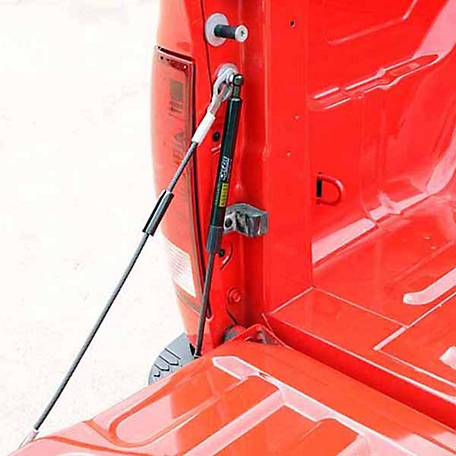 Dee Zee Tailgate Assist for 2009-2018 Dodge Ram 1500 and 2010-2022  2500/3500 at Tractor Supply Co.