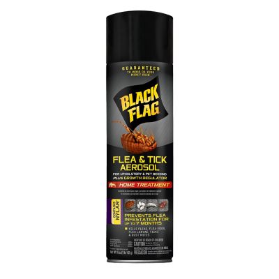 Black Flag 16 oz. Flea and Tick Aerosol for Upholstery and Pet Bedding Plus Growth Regulator Home Treatment