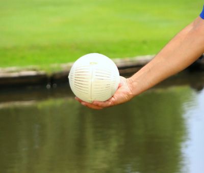 Image showing  Healthy Ponds AquaSpherePRO Pond Treatment, 4 in. Diameter, 12,000 gal.