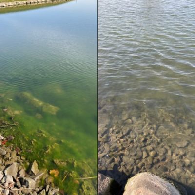 Image showing  Healthy Ponds AquaSpherePRO Pond Treatment, 4 in. Diameter, 12,000 gal.