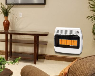 Dyna-Glo 30,000 BTU Infrared Natural Gas Vent-Free Wall Heater at Tractor  Supply Co.