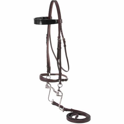 horse bridles for sale