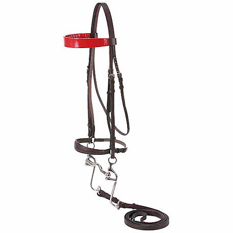 Tough-1 Quality Leather Walking Horse Bridle
