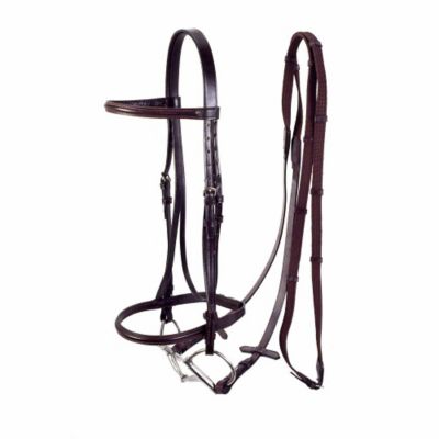Tough1 Raised Snaffle English Bridle with Web Reins, Full, Brown