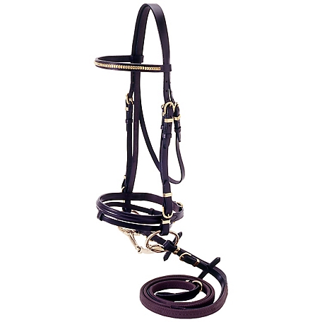 Tough-1 Flash Bridle with Brass Browband