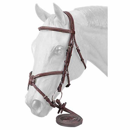 Tough-1 Premium Padded Fancy-Stitched Raised Figure-8 English Bridle, Brown