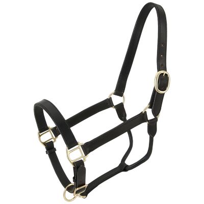 Tough-1 Leather Stable Horse Halter, Brown