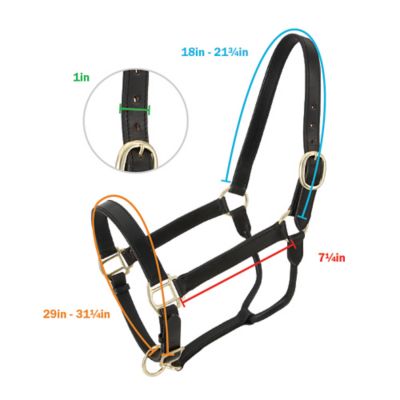 Image showing  Stable Leather Horse Halter, Brown