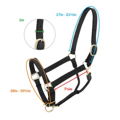 Image showing  Churchill Stable Leather Horse Halter with Snap