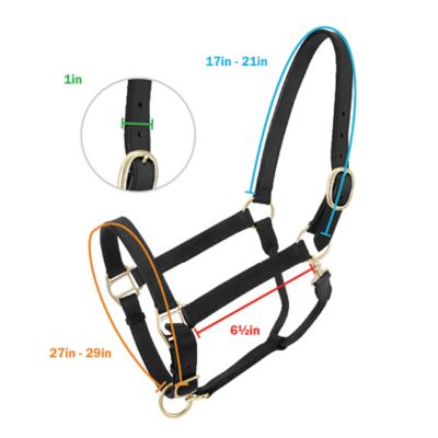 Image showing  Churchill Stable Leather Horse Halter with Snap