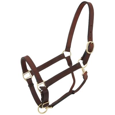 Tough1 Churchill Stable Leather Horse Halter with Snap