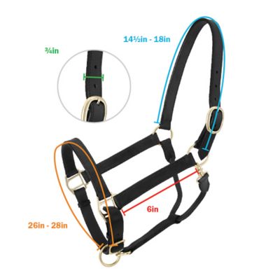 Image showing  Churchill Stable Leather Horse Halter with Snap
