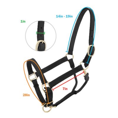 Image showing 1 th Tough1 Churchill Stable Leather Horse Halter with Snap