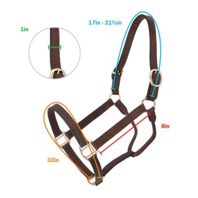 Image showing  Track Weanling Leather Horse Halter, Brown