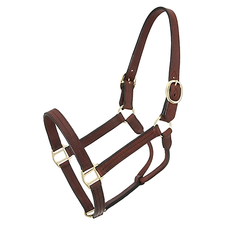 Tough-1 Leather Track Weanling Horse Halter, Brown