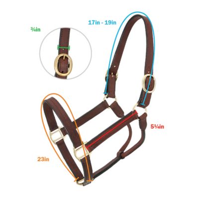 Image showing  Track Weanling Leather Horse Halter, Brown