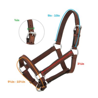Image showing  Miniature Leather Horse Halter, Brown
