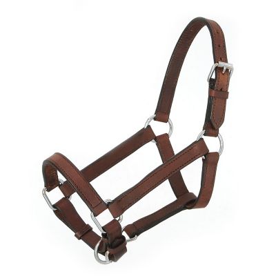 Tough-1 Leather Miniature Horse Halter, Brown