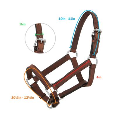 Image showing  Miniature Leather Horse Halter, Brown