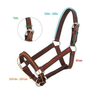 Image showing 1 th Tough1 Miniature Leather Horse Halter, Brown