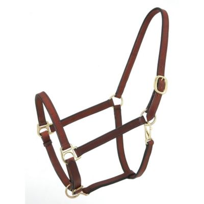 Tough-1 Leather Narrow Track Horse Halter, Brown