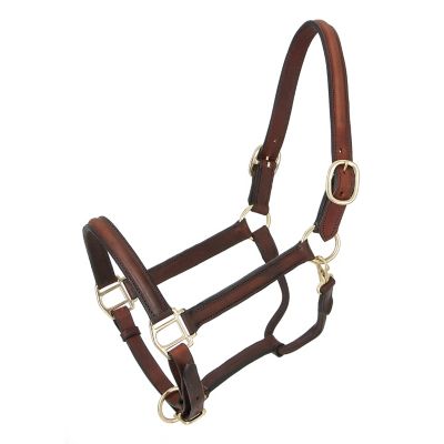 Tough-1 Raised Leather Horse Halter, Brown