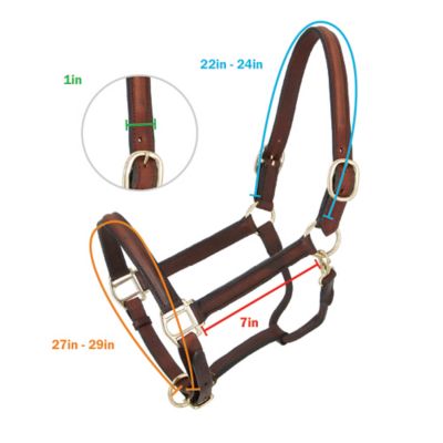 Image showing  Raised Leather Horse Halter, Brown