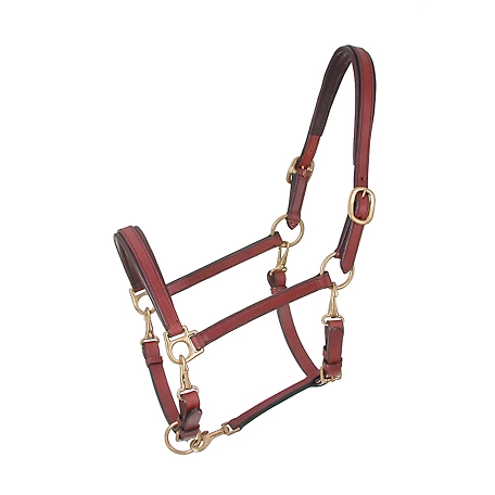 Tough-1 4-Way Stable/Grooming Horse Halter, Brown