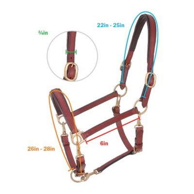 Image showing  4-Way Stable/Grooming Leather Horse Halter, Brown