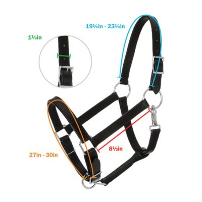 Image showing  Draft Stable Leather Horse Halter, Brown