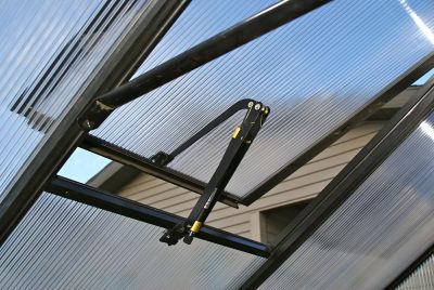 Image showing  8 ft. L x 8 ft. W Black Backyard Greenhouse, Premium Package