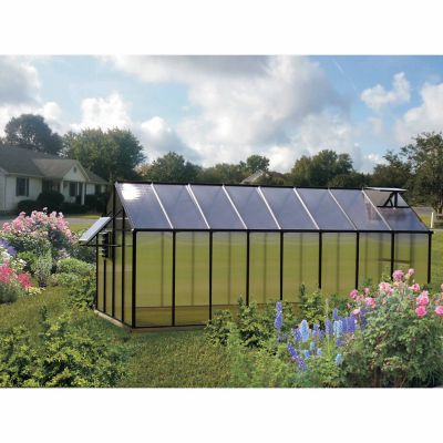 Monticello 8 ft. x 16 ft. Mojave Black Backyard Greenhouse