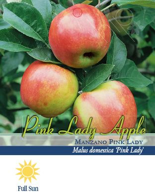 Buy Apples and pears · PINK LADY · Supermercado Hipercor · (3)