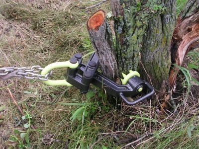 Image showing  Xtreme Plus Tree Stump Remover
