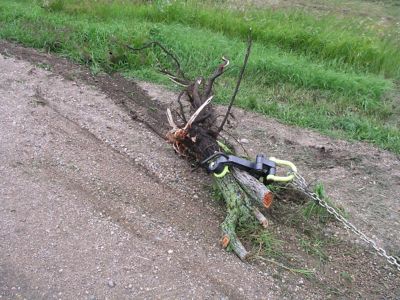 Image showing  Xtreme Plus Tree Stump Remover